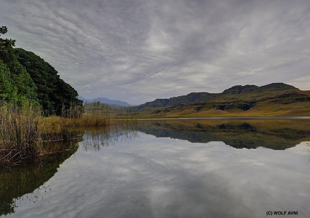 Giantscup Wilderness Reserve Ъндърберг Екстериор снимка