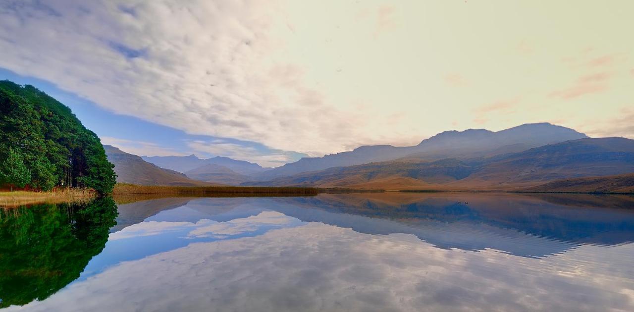 Giantscup Wilderness Reserve Ъндърберг Екстериор снимка